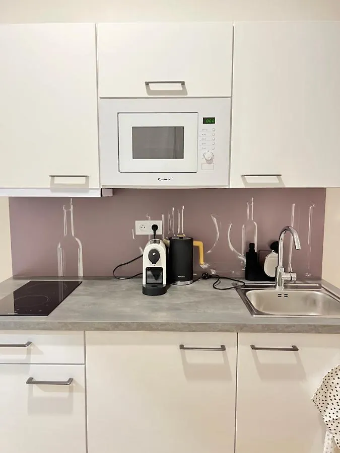 New Apartments Chain Florenc Prague 0*,